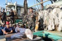  6 Kapal Ikan Diamankan, Kementerian Kelautan dan Perikanan Perketat Pengawasan di Wilayah Rawan Illegal Fishing