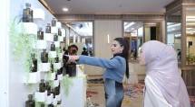 Wujudkan Harmoni Sensori, ARUMI Luncurkan 2 Produk Smart Diffuser dan 22 Essential Oil Fragrance
