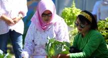 Petani perkotaan