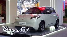 Wuling Binguo, Mobil Listrik Ramah Dikantong jadi Rebutan Konsumen