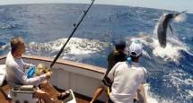 Fishing Tournament Upaya Pemprov Maluku Utara Tingkatkan Industri Pariwisata