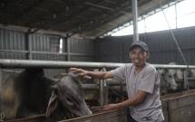 Dompet Dhuafa memajukan ekonomi lokal