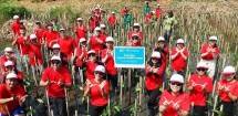 Yayasan WINGS Peduli Tanam Ratusan Pohon Mangrove dalam Program Aksi Hijau #WINGSPeduliLingkungan 