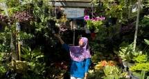 Cerita Klaster Bunga Bratang Binaan BRI di Kota Surabaya, Kini Punya Tempat Usaha Nyaman yang Membuat Bisnis Terus Berkembang