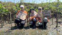 PT Bigga Damai Utama Tanam 1000 Bibit Mangrove di Pantai Pasir Kadilangu Kulon Progo