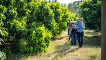 Potensi Pertanian Organik Besar, PHC NatureGen optimis masuk Pasar Pertanian Vietnam