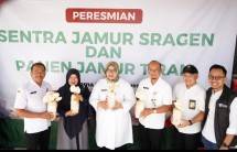 Pemda Sragen Dukung Dompet Dhuafa dan Bank Syariah Sragen Luncurkan Program Pemberdayaan Sentra Jamur Tiram Berbasis CWLD Pertama Di Indonesia