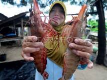 ANTARA PHOTO/Saiful Bahri/foc