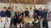 Dompet Dhuafa Yogyakarta Bersama BMT UMMAT Gulirkan Program Inti Plasma Pengembangbiakan Domba
