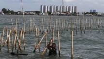 Sejumlah Alasan Pagar Laut di Tangerang Tidak Ada Hubungannya dengan Jokowi