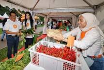 hibank Luncurkan Aplikasi hi by hibank, Solusi Digitalisasi UMKM dalam Satu Genggaman