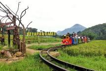 Desa BRILian