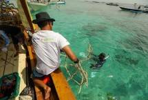 Melalui program BRI Menanam - Grow & Green, BRI turut berkontribusi dalam melindungi ekosistem bawah laut