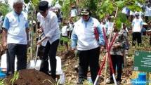 Presiden Jokowi dan Menteri KLH Siti Nurbaya tanam pohon di Gunung Kidul, Sabtu (9/12/2017) (Foto Setkab)