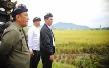 Mentan Amran Dorong Luwu Timur Tanam Padi 4 Kali Setahun