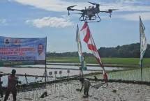 Tanam serentak di Kabupaten Lebak
