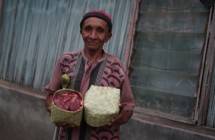 Program Tebar Hewan Kurban di Kupang, NTT 