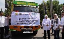 JAPFA dan Greenfields Distribusikan 1.000+ Sapi Perah Bunting ke Peternak Rakyat, Dukung Kemandirian Susu Nasional