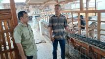 P4S Telaga Rizki 21 Jadi Motor Penggerak Peternak di Kota Metro
