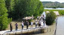 Manajemen MPMX melakukan penanaman Mangrove