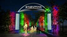 Festival Cahaya Perkebunan Teh Boseong, di Korea Selatan (Foto:visitkorea.or.id)