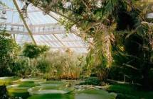 Menemukan Oase di Kawana Resort, Botanic Gardens Jababeka