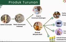Keterangan Foto (ilustrasi): Pengembangan Minyak Atsiri dari bahan baku Kemenyan.
