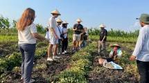 Kagum dengan Petani Muda Indonesia, Mahasiswa Belanda & Polandia Belajar Tanam Melon & Panen Kacang di Bojonegoro