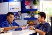 Agen BRILink