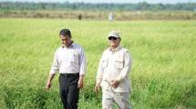 Presiden Prabowo Subianto bersama Menteri Pertanian (Mentan) Andi Amran Sulaiman