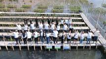 Sambut Hari Habitat Sedunia, Cermati Fintech Group Tanam Bibit Mangrove di Kawasan Hutan Lindung PIK
