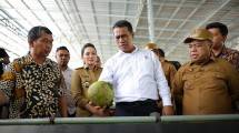 Mentan Amran Dorong Hilirisasi Kelapa dan Kenaikan Harga Petani di Maluku Utara