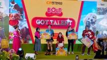 Dekatkan Diri Dengan Pemilik Hewan Peliharaan, BOLT Luncurkan Layanan CRM Interaktif HaloBOLT