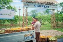 Desa BRILian