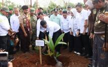Mentan Amran Luncurkan Gerakan Menanam 5 Juta Pohon Kelapa di Selayar, Dorong Hilirisasi Kelapa Nasional