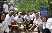 PT Indointernet Tbk (Indonet) bersama PT Ekagrata Data Gemilang (Edge DC) menggelar aksi peduli lingkungan berupa penanaman 4.500 bibit mangrove jenis Rhizophora mucronata serta restorasi 100 segmen terumbu karang di Pulau Tidung Kecil, Kepulauan Seribu. 