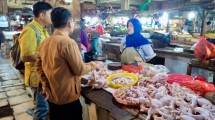 Harga Ayam di Bawah Rp40 Ribu Jelang Ramadan, Pemerintah Turun Tangan!