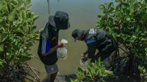 Peringati Hari Bumi, BRI Perkuat Komitmen Jaga Ekosistem Pesisir Lewat Penanaman Mangrove di Muara Gembong Bekasi 