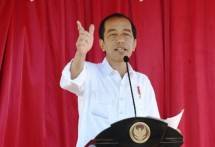 Presiden Jokowi (Foto : Biro Pers Setpres)