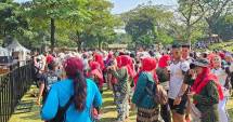  Acaraki Jamu Festival 2026 Ajak Generasi Muda Banggakan Warisan Budaya Indonesia