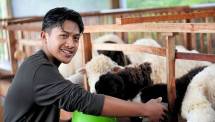  ChildFund Internasional di Indonesia meluncurkan Green Recovery Initiative (GRI), sebuah program yang mengubah peternakan domba dan kambing di Kecamatan Selo, Kabupaten Boyolali.