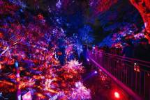 Lightscape Perth 2026, Dunia Cahaya 1,8 Km yang Bikin Instagram Meledak
